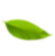 overlay-leaf